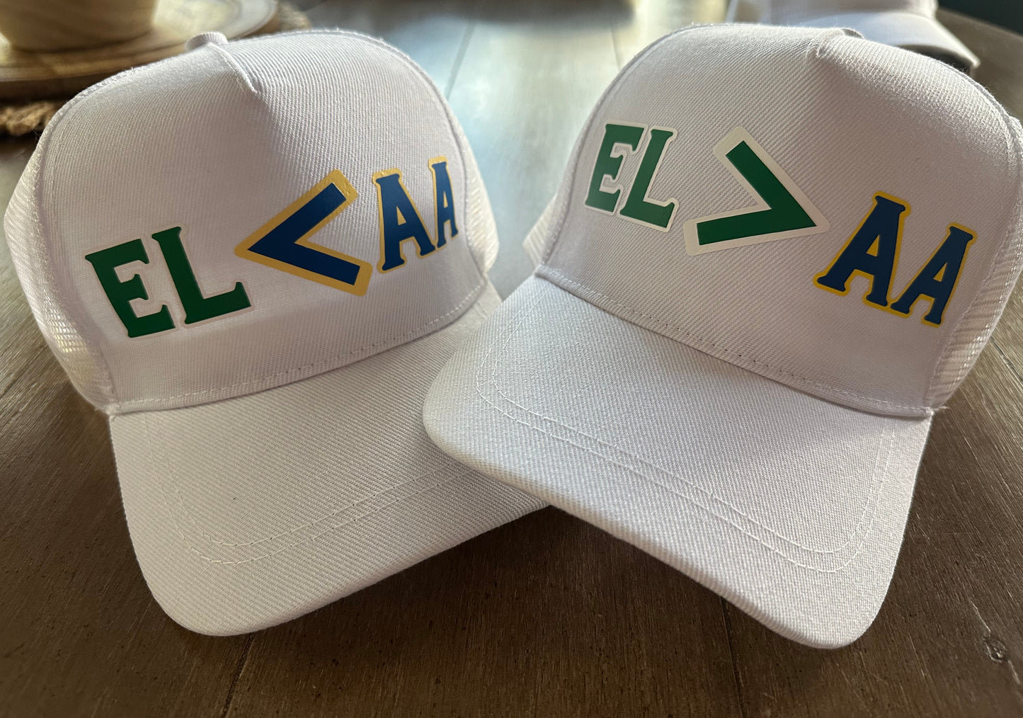 East Lansing Ann Arbor Rivalry Hats