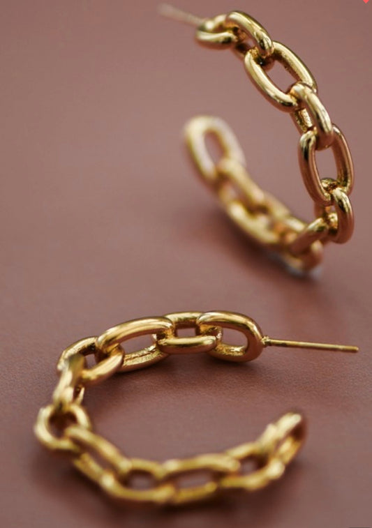 18K Stainless Steel Chain Link Earrings